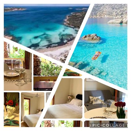 Nest House - Esclusivo Appartamento Marina Di Olbia- Mater Olbia - Beaches - Close To The Airport - Private Parking- Full Comforts - Buitenkant foto