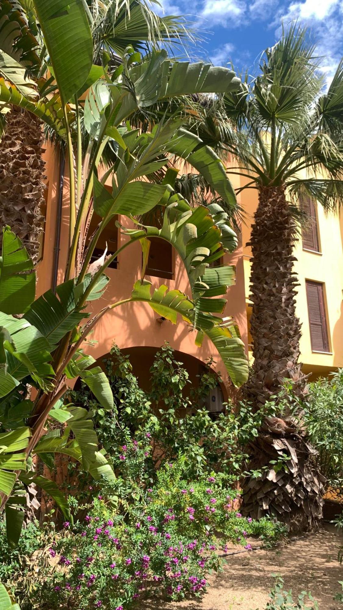 Nest House - Esclusivo Appartamento Marina Di Olbia- Mater Olbia - Beaches - Close To The Airport - Private Parking- Full Comforts - Buitenkant foto