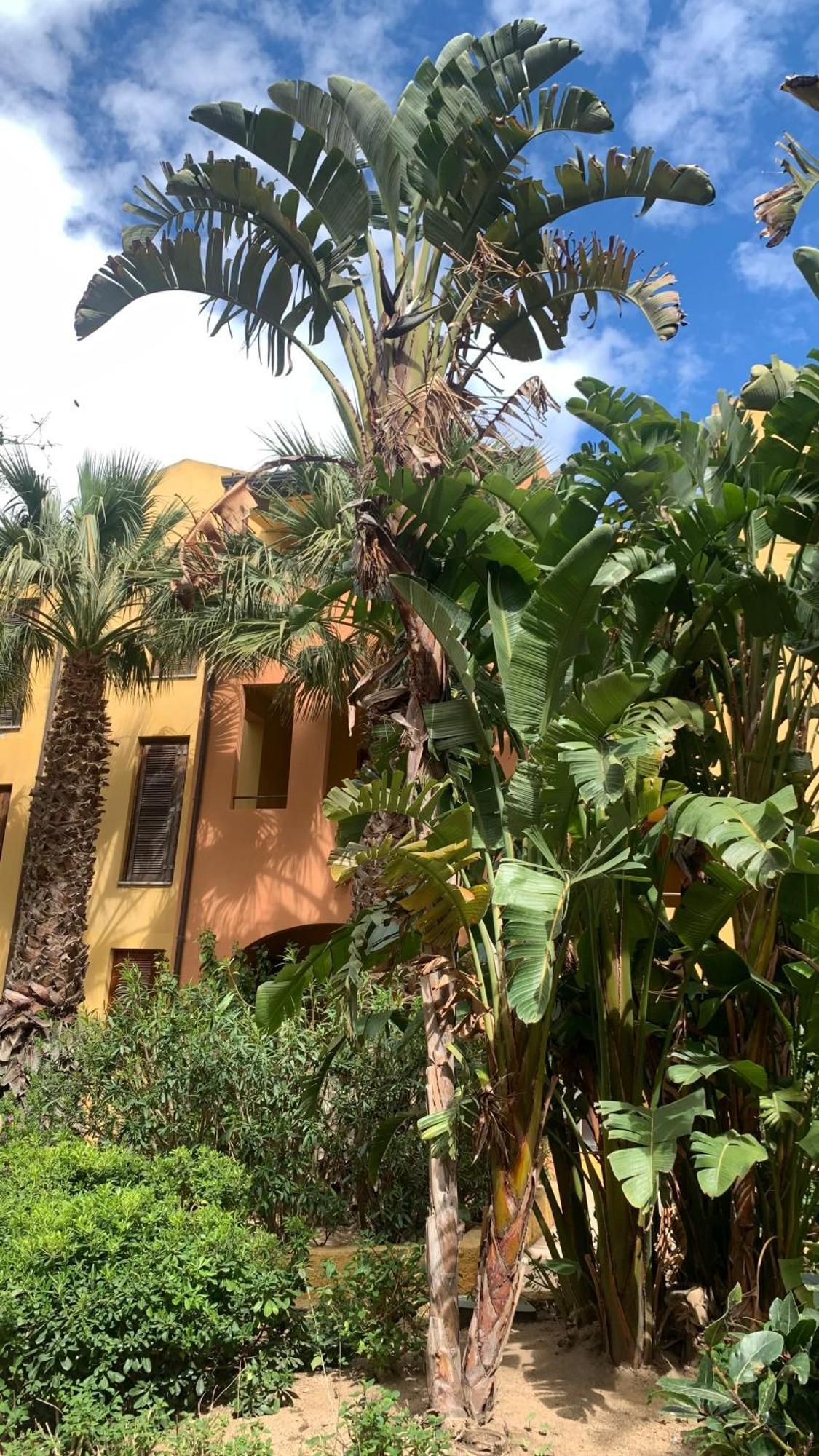 Nest House - Esclusivo Appartamento Marina Di Olbia- Mater Olbia - Beaches - Close To The Airport - Private Parking- Full Comforts - Buitenkant foto